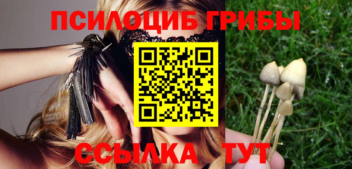 Псилоцибиновые грибы Cubensis Лангепас